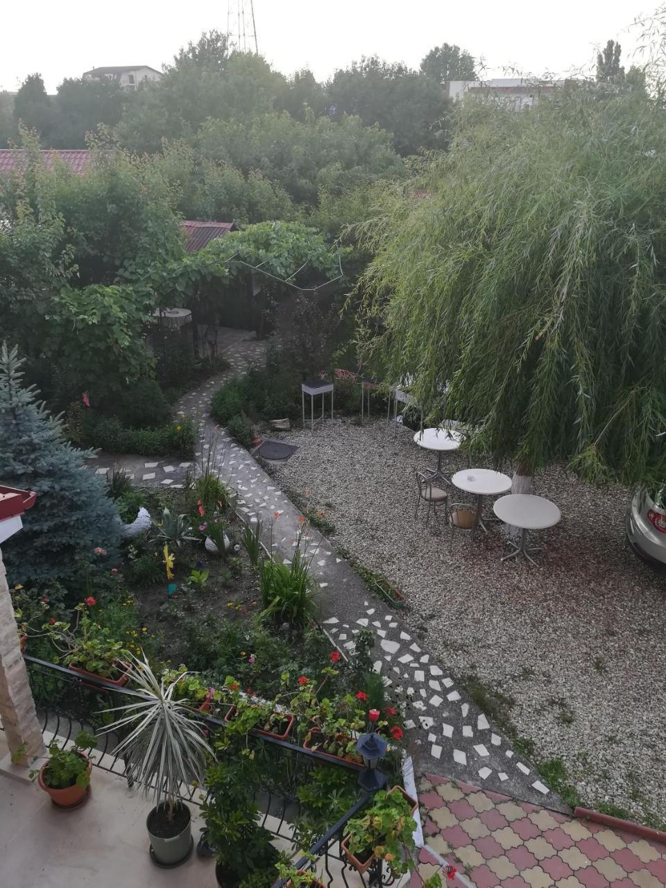 Casa Dalena Hotell Costinesti Exteriör bild